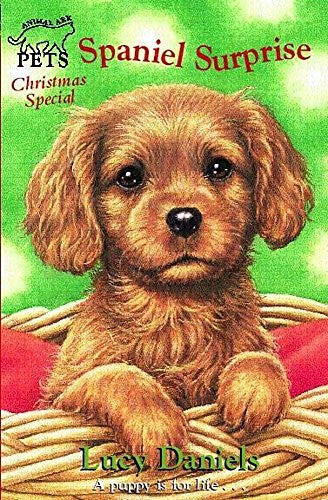 Christmas Special: Spaniel Surprise