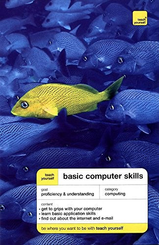 Teach Yourself Basic Computer Skills