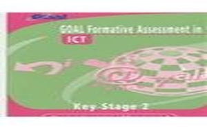 Goal Formative Assessment 