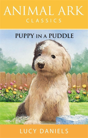 Puppy in a Puddle