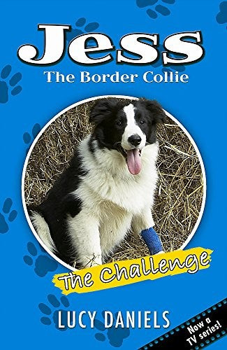The Challenge