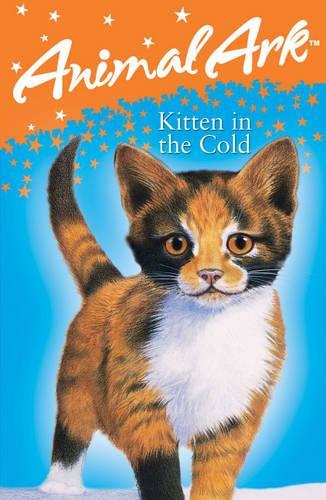 Kitten in the Cold