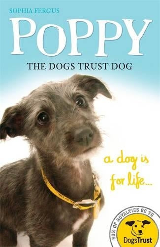 Poppy the Dogs Trust Dog