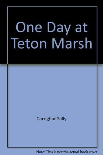 One Day at Teton Marsh