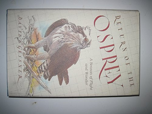Return of the Osprey