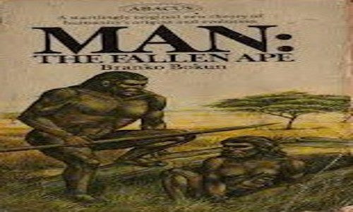 Man: The fallen ape