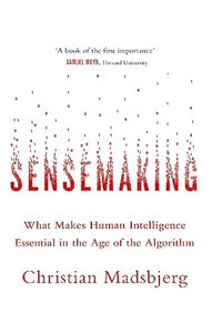 Sensemaking 