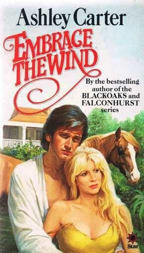 Embrace the Wind