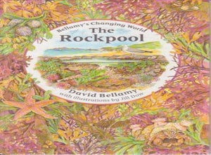 The Rockpool 