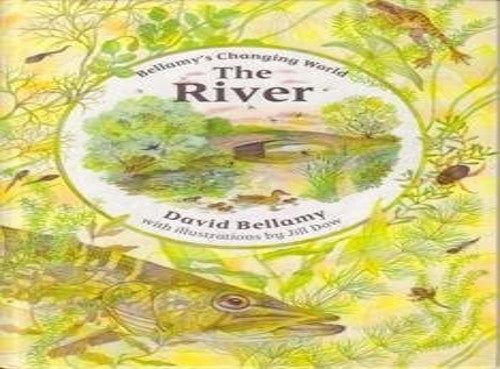 The River