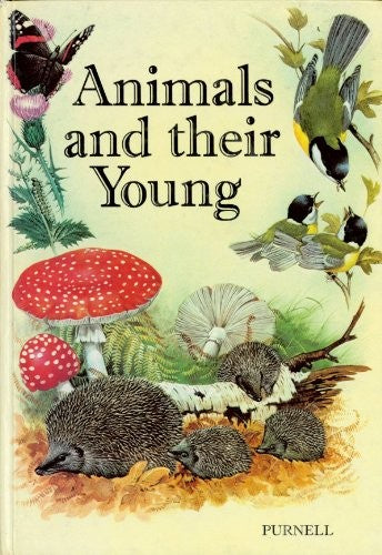 Animals and Their Young