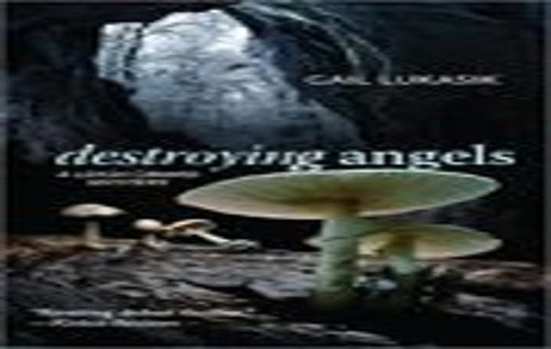 Destroying Angels.