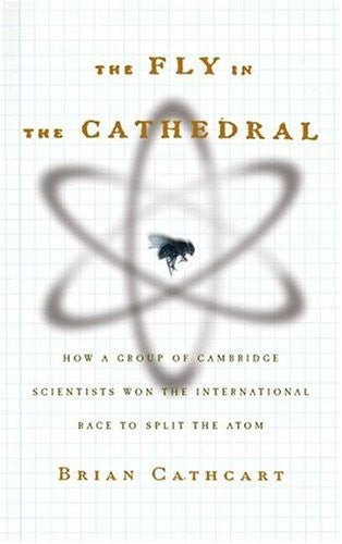 The Fly in the Cathedral
