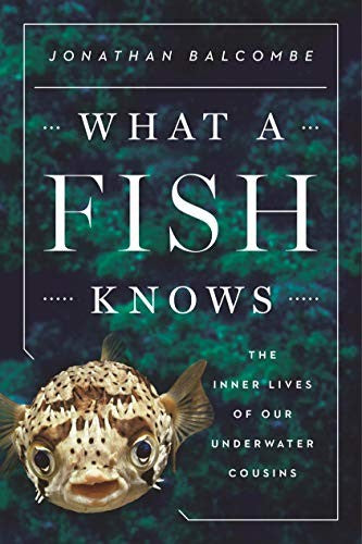 What a Fish Knows