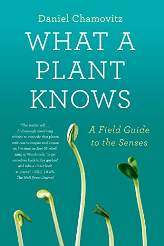 What a Plant Knows