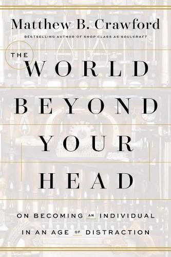 World Beyond Your Head