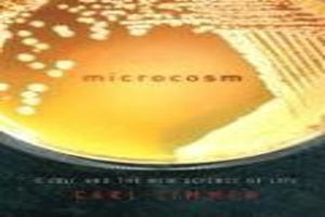Microcosm 