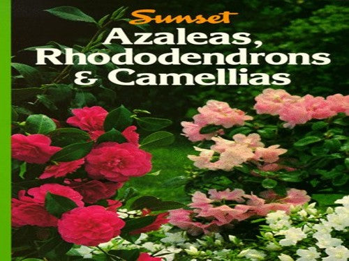 Azaleas, Rhododendrons, Camellias