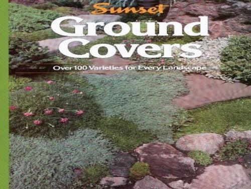 Ground Covers