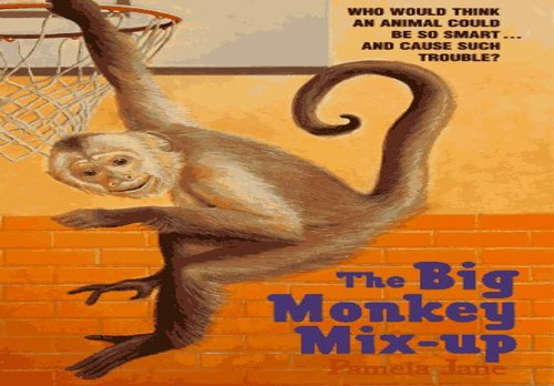 The Big Monkey Mix-Up