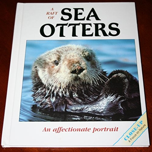A Raft of Sea Otters