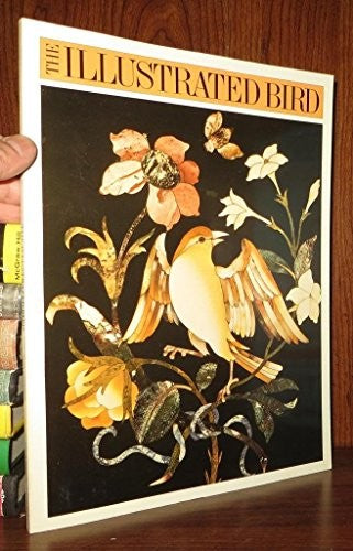 The Illustrated Bird