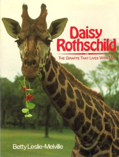 Daisy Rothchld Juv