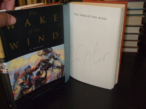 Wake of the Wind
