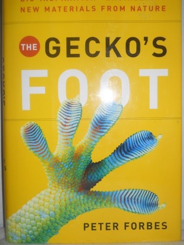 Gecko's Foot