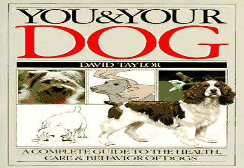 You and Your Dog