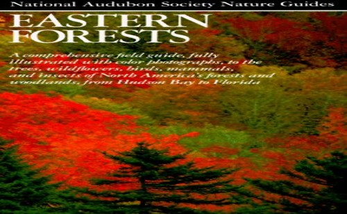 Eastern Forests