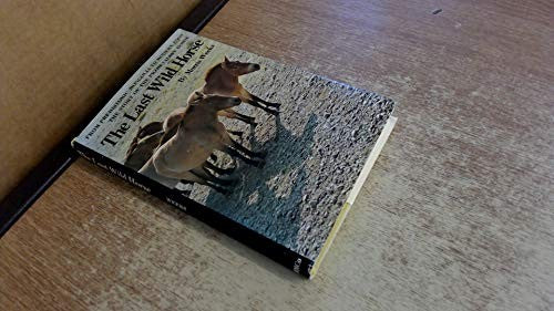 The Last Wild Horse