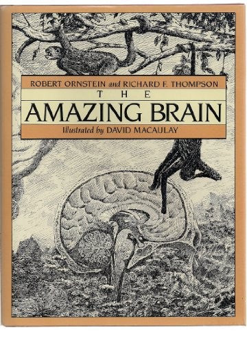 The Amazing Brain