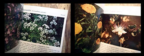 Pocket Guide to Herbs and Edible Flowers