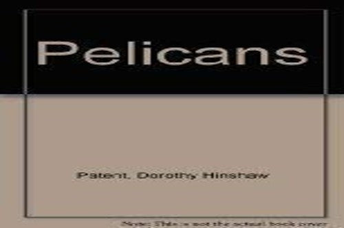 Pelicans