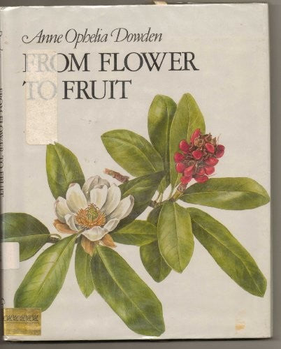 From Flower to Fruit Pa