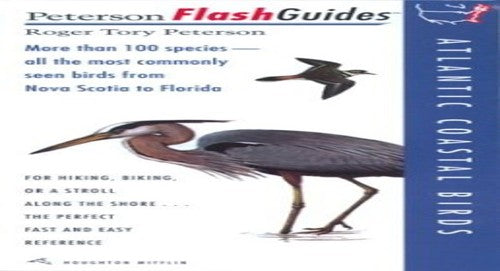 Atlantic Coastal Birds