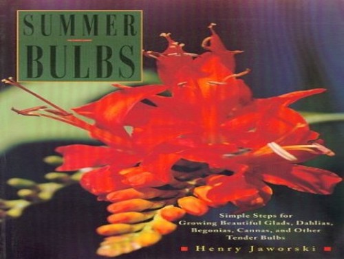 Summer Bulbs