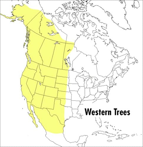A Peterson Field Guide To Western Trees, A