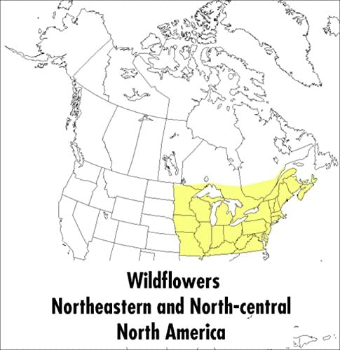 A Peterson Field Guide To Wildflowers, A