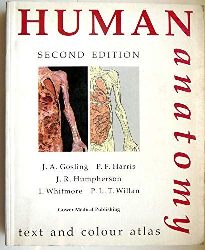 Human Anatomy