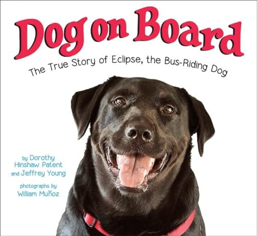 Dog On Board