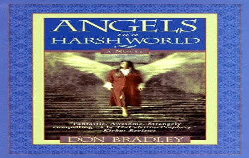 Angels in a Harsh World