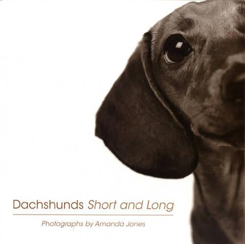 Dachshunds Short And Long