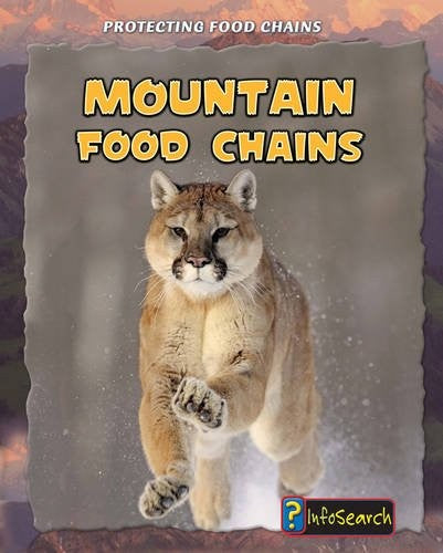 Mountain Food Chains