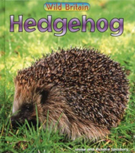Wild Britain: Hedgehog