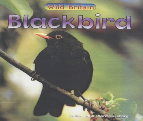 Wild Britain: Blackbird
