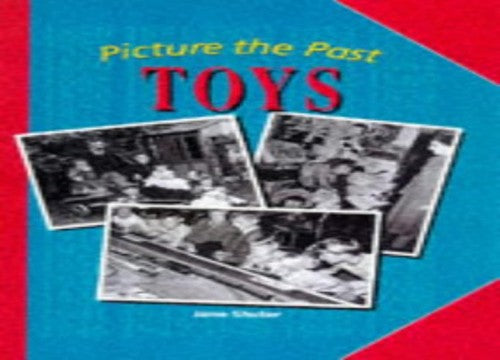 Picture the Past: Toys (Cased)