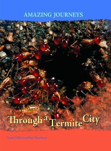 Through a Termite City
