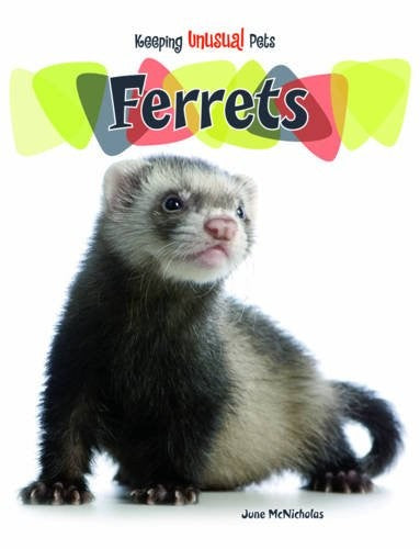 Ferrets